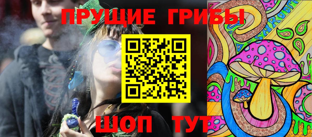 Псилоцибиновые грибы Psilocybe Тверь