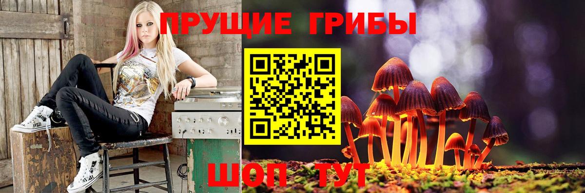 Тверь  Галлюциногенные грибы Psilocybine cubensis  где купить наркоту  Вход с VPN 