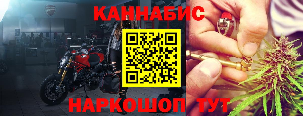 Каннабис сатива Тверь
