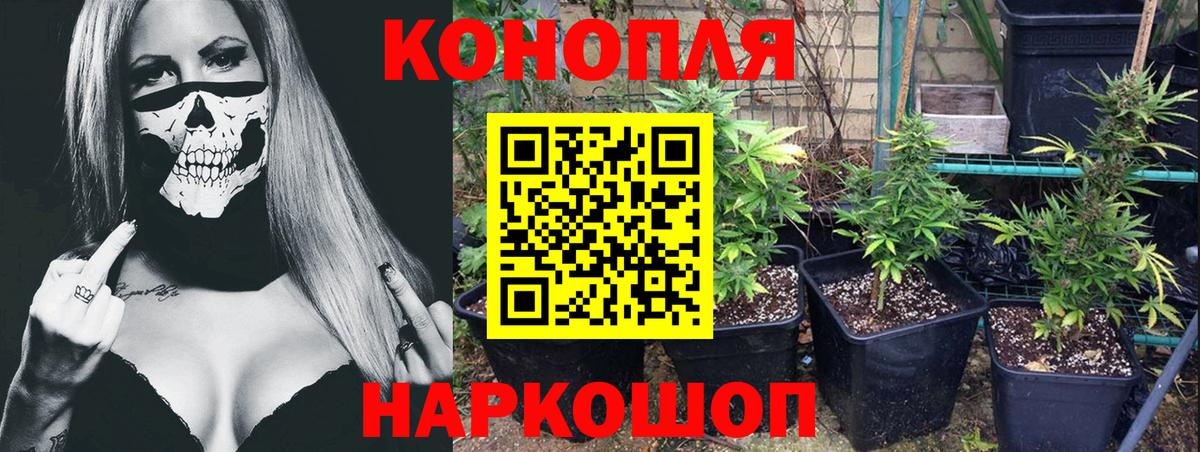 Бошки марихуана план  Бошки марихуана VHQ  Тверь  Вход с VPN 
